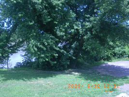 Photo not available